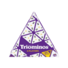Triominos 6 Players